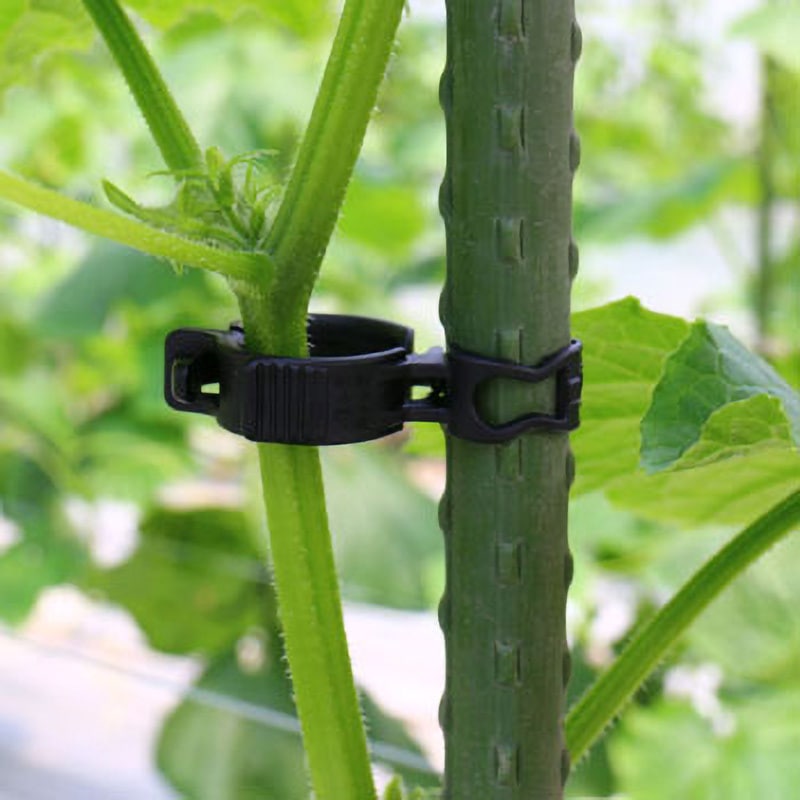 園芸クリップ シーム ゆーいんキャッチ 2200個+α