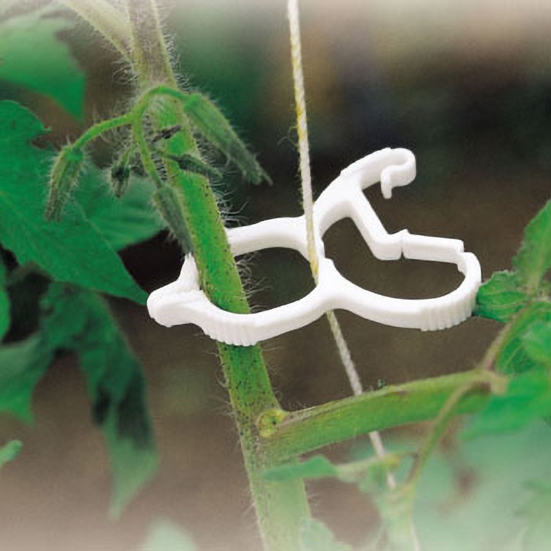 【農機具屋】誘引クリップ 茎に優しい Ｒ型（サイズ：20㎜）8,000個 top-7-300x264.jpg