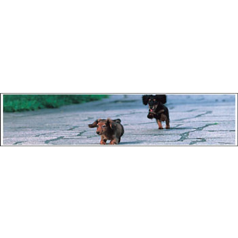 PFP-3 プラスチックフェンス用プレート 安全興業 子犬タイプ  1セット(20枚) PFP-3