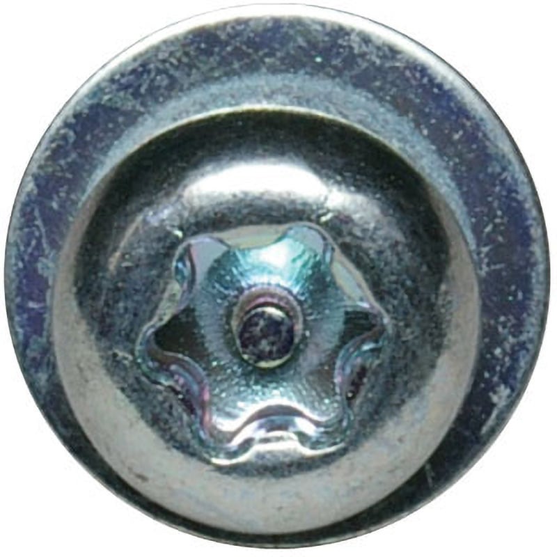 TX250306ZP3 ピン・なべ6-ロブ小ねじ (平W+SW付) サイマ