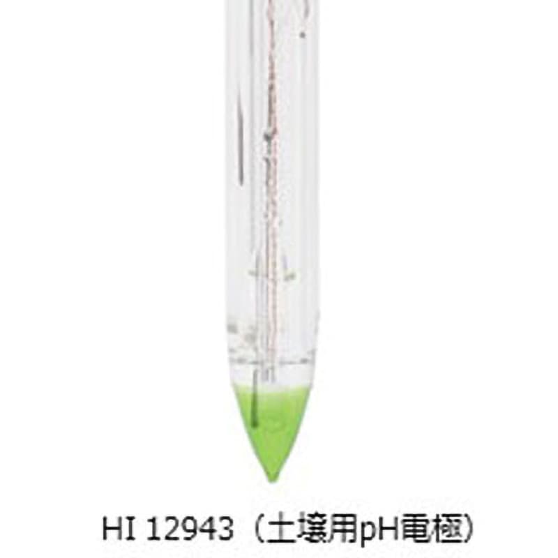 ハンナ インスツルメンツ・ジャパン 土壌ダイレクトpH/℃電極 HI-12943 HI 12943 土壌ダイレクトph電極 1個 HANNA(ハンナインスツルメンツ