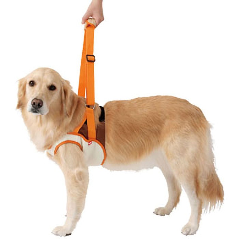 犬用歩行補助輪 Amazon.co.jp: 犬用歩行器 犬歩行補助輪 犬用車椅子 ペット用