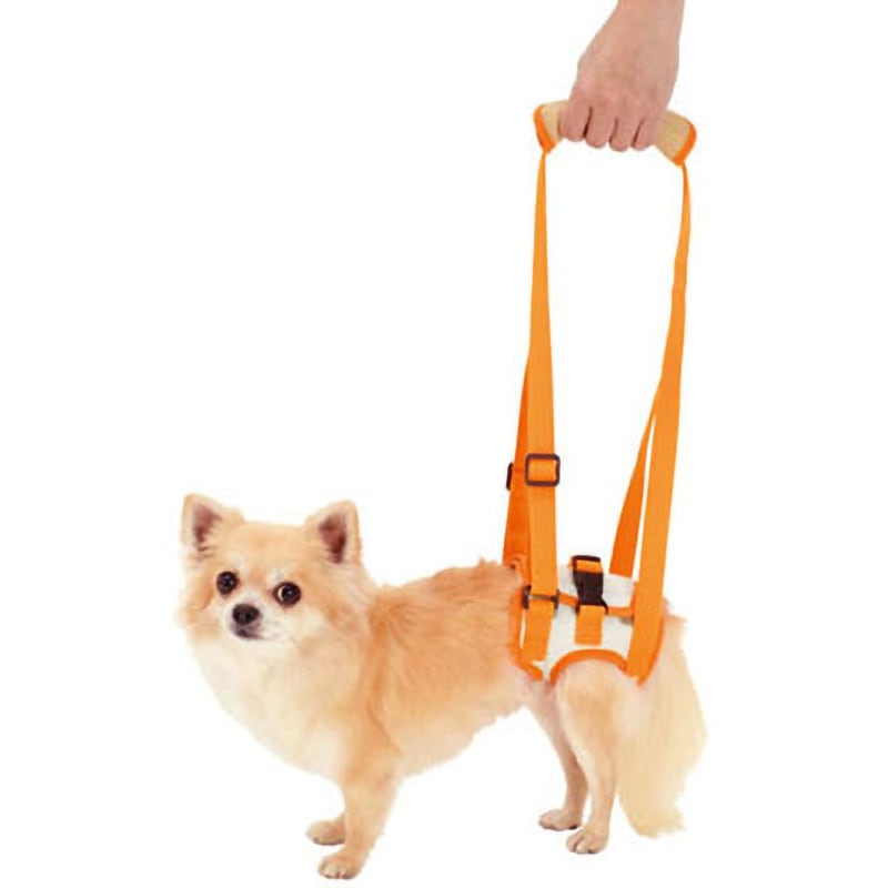 W23627 老犬介護用 歩行補助ハーネス 後足用K zuttone サイズS 1個