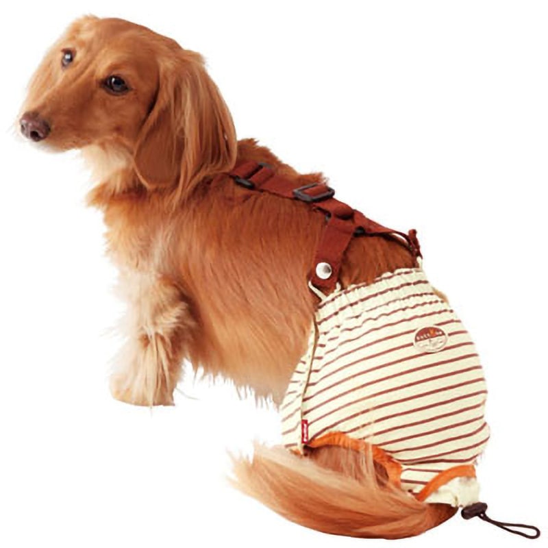 W23633 老犬介護用 おむつパンツK zuttone サイズS 1枚 W23633