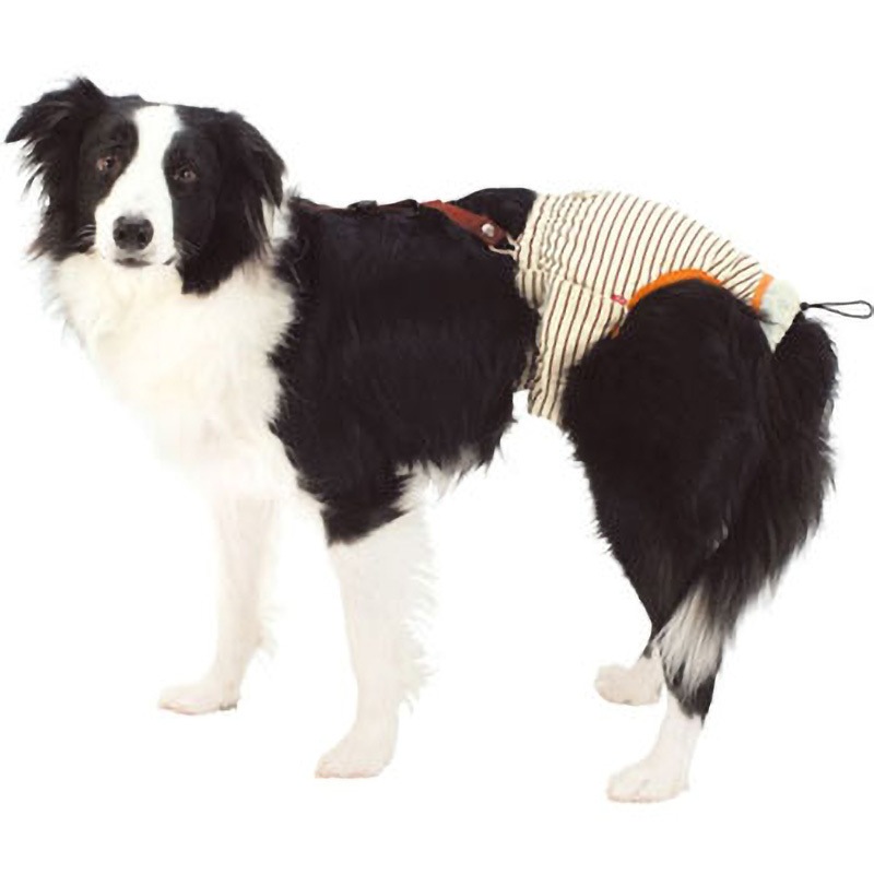 petioおむつパッド 2L 30枚入り W23643 老犬介護用 おむつパッドK zuttone サイズ2L 1袋(30枚
