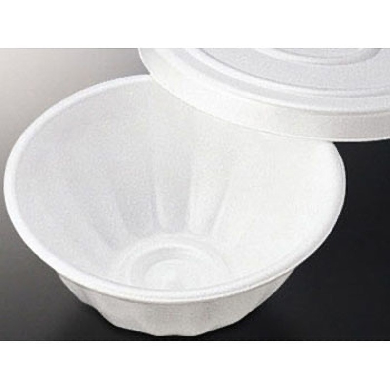 ‐ 丼C (セ) ラミ無し 中央化学 本体