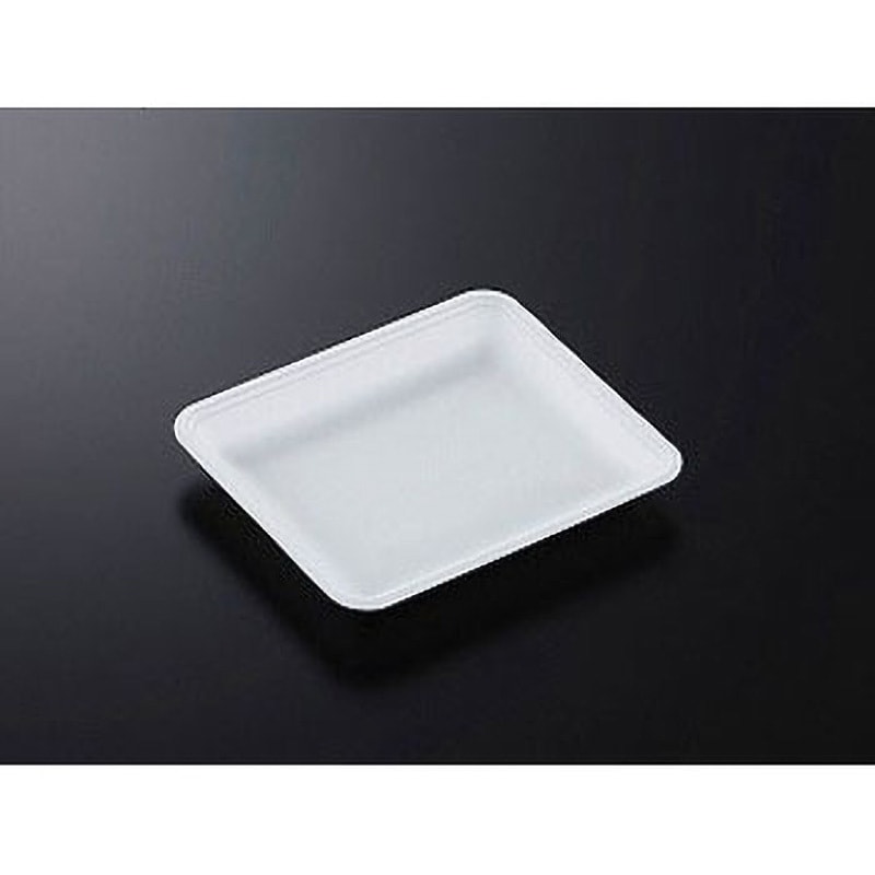 CN20-17E(L) トレー CN 1ケース(100枚×16袋) 中央化学 【通販モノタロウ】 8,066円