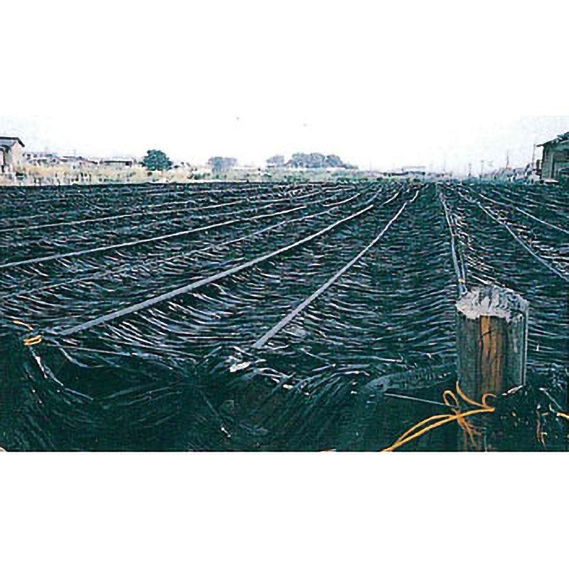BK2807 木かげPartⅡ 日本ワイドクロス 遮光率80~85% 幅2m長さ BK2807 木かげPartⅡ 日本ワイドクロス 遮光率80~85% 幅2m長さ