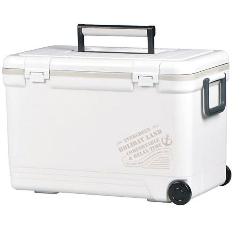 ラボクーラー アズワン 容量33L  1個 13,800円