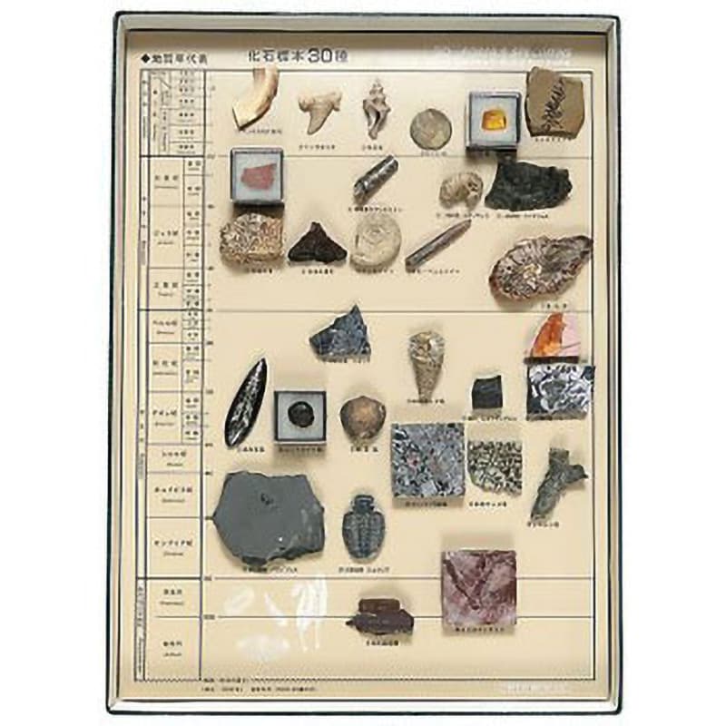 岩石鉱物標本 30種 ROCKS & MINERALS おすすめ特集 - 標本用品