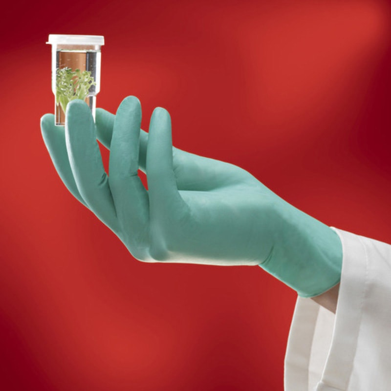 25-101-6 ネオプレンゴム使い捨て手袋 NeoTouch 25-101 アンセル