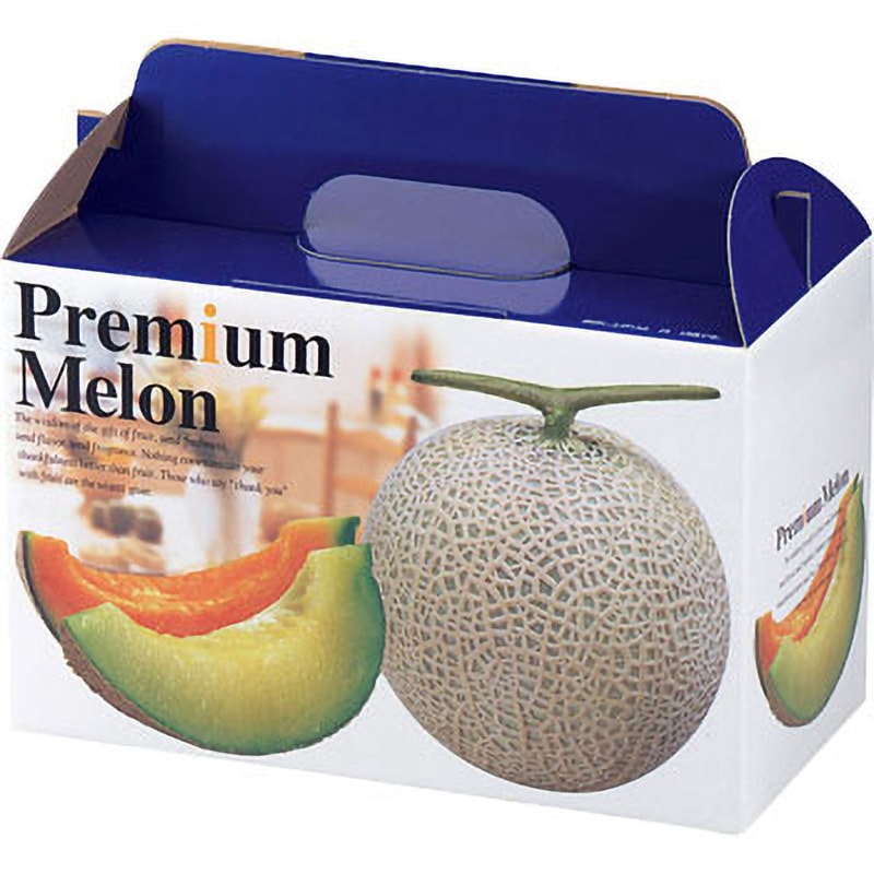 L-415 プレミアムメロン2ヶ入 ヤマニパッケージ 果物・フルーツ 本体・台紙 13,305円