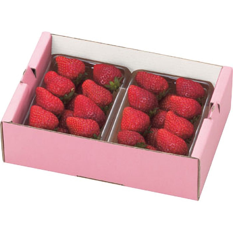 L-2069P イチゴ2Pサービス箱ピンク ヤマニパッケージ 果物・フルーツ 本体 寸法232×170×75mm 1ケース(200枚) L-2069P