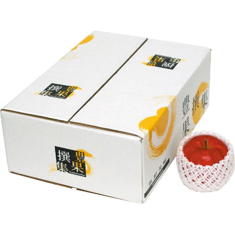 L-2156 豊果撰集(中B) ヤマニパッケージ 果物・フルーツ