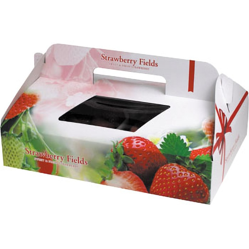 L-2271 ストロベリーフィールズ2P ヤマニパッケージ 果物・フルーツ 本体・底台紙