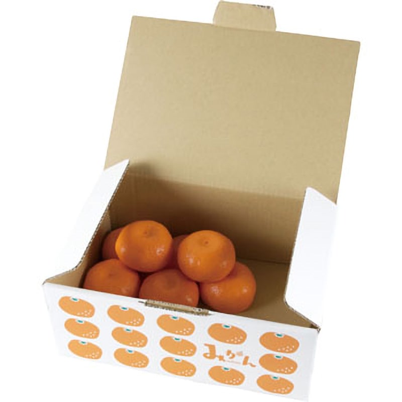 L-2442 イラストみかん 3kg ヤマニパッケージ 果物・フルーツ - 【通販