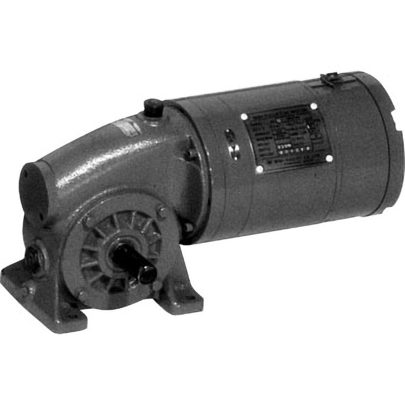 SYW-200/200-50RN-E Mノミ 直流モータ SYWシリーズ ウォーム減速機付(ベース取り付け) 三木プーリ 200V 単相/直流 出力0.2kW