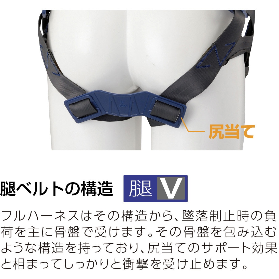 PACN-10A-BL-LL PANGAEA CANYON 墜落制止用器具 PACN-10A-BL型(フル