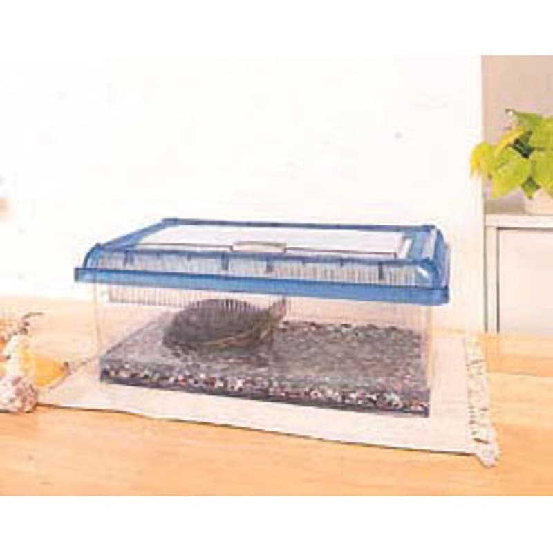 CC-360L クリアビュー飼育ケース浅型 アイリスオーヤマ 1個 CC