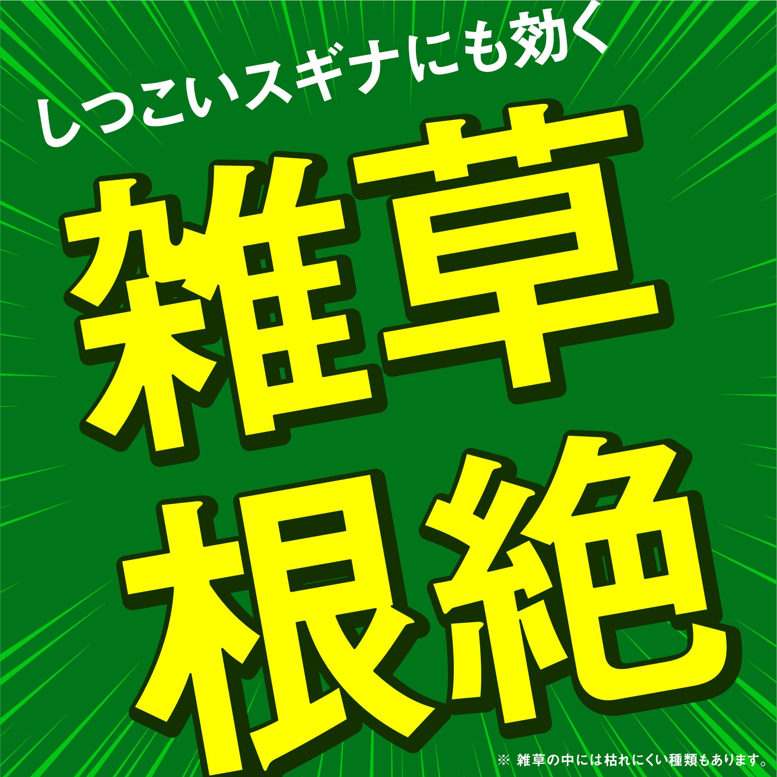 アースガーデン アースカマイラズ草消滅 アース製薬 シャワー剤