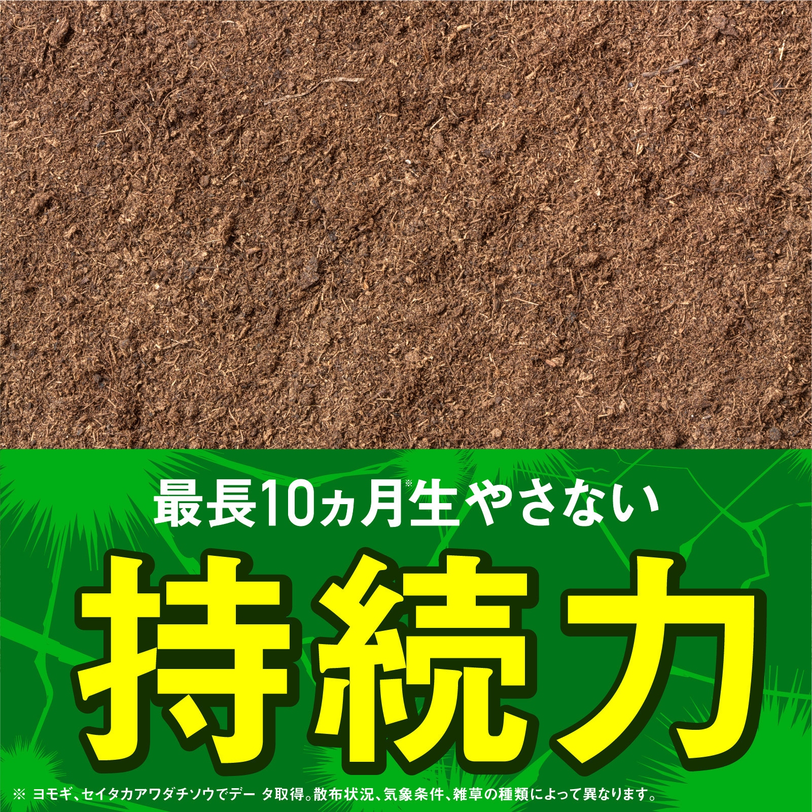 アースガーデン アースカマイラズ草消滅 アース製薬 シャワー剤