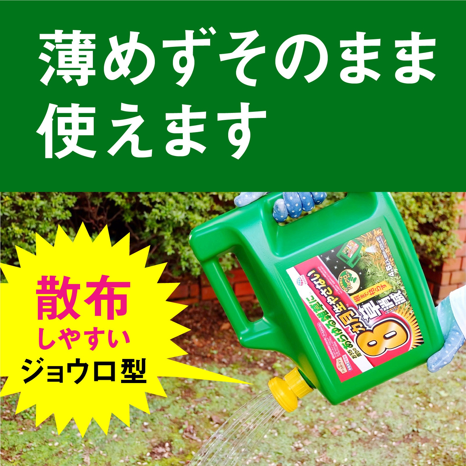 気功健康法入門　場所イラズ・道具イラズ・薬イラズ イラストでわかる! まずは使ってみよう 漢方薬 | 下手公一, 寺澤