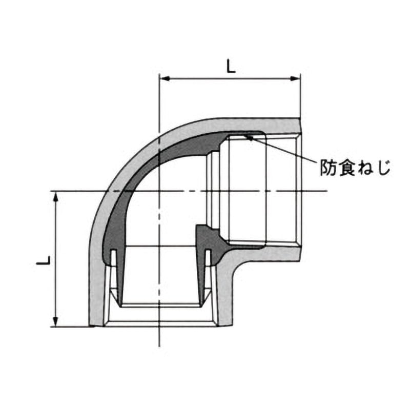 マルバノキ/良形【現品発送】管理60822 マルバノキ/良形【現品発送】管理60822
