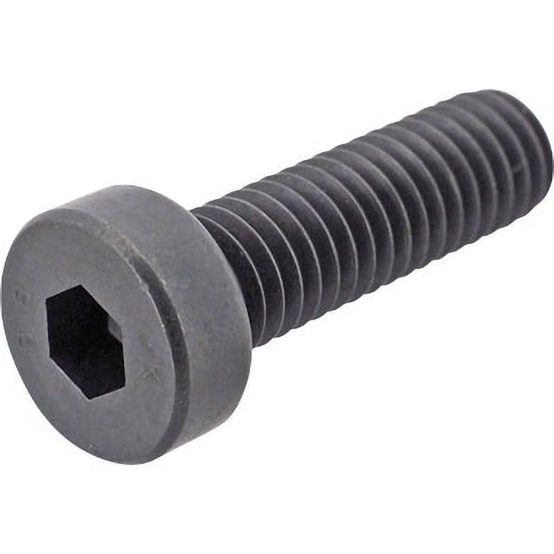 尺八 45.5㎝ M6×20 低頭六角穴付ボルト(S45C相当/黒色酸化皮膜) 全ねじ 大阪