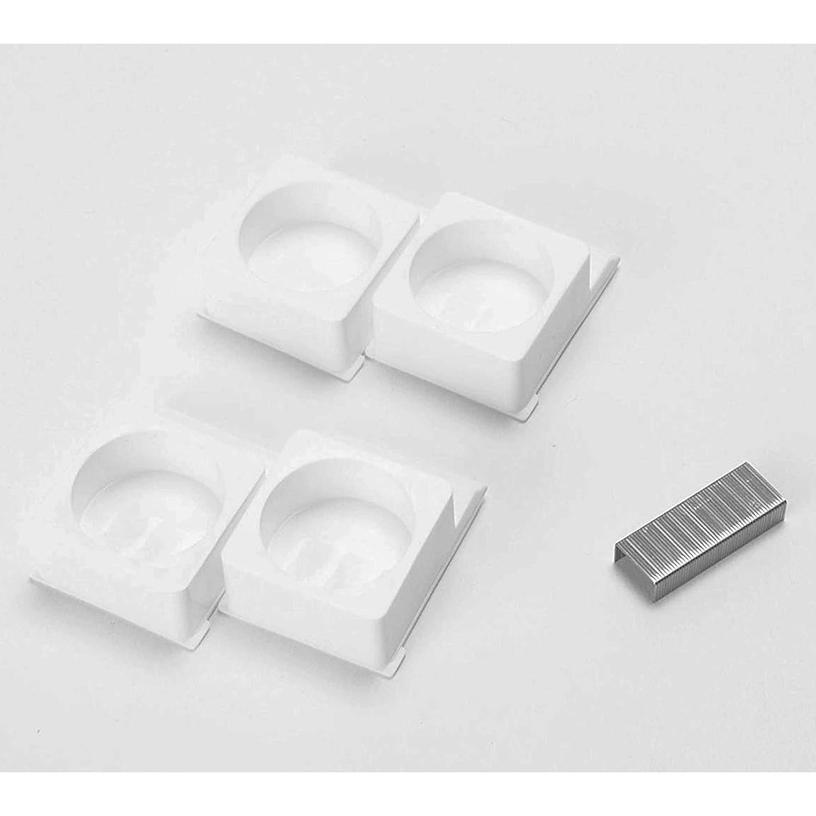 うり坊2匹です。 うり坊2匹です。 うり坊2匹です。 うり坊と戯れる - YouTube