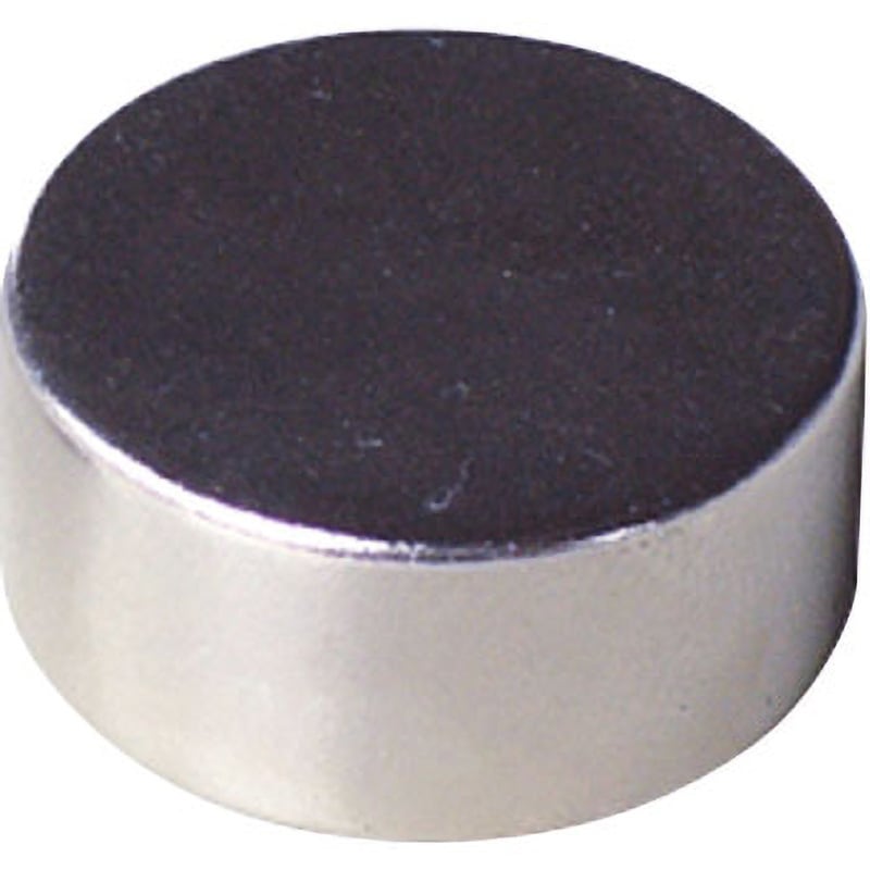 KN-4 ネオジウム磁石 BeHAUS 吸着力149.9N  1個 KN-4