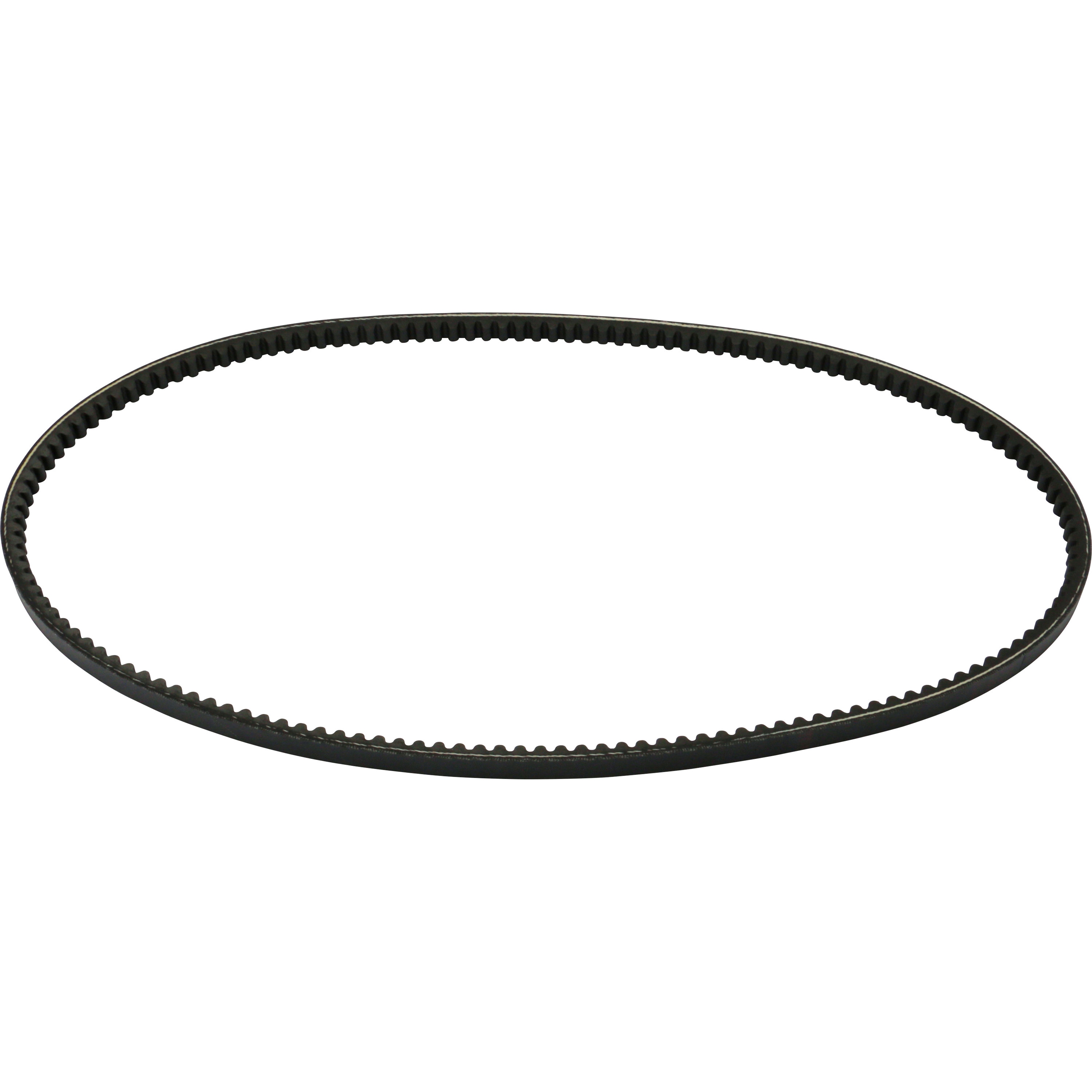 HDPF5550 大型コグベルト HDPF5～ 1本 バンドー化学 【通販モノタロウ】