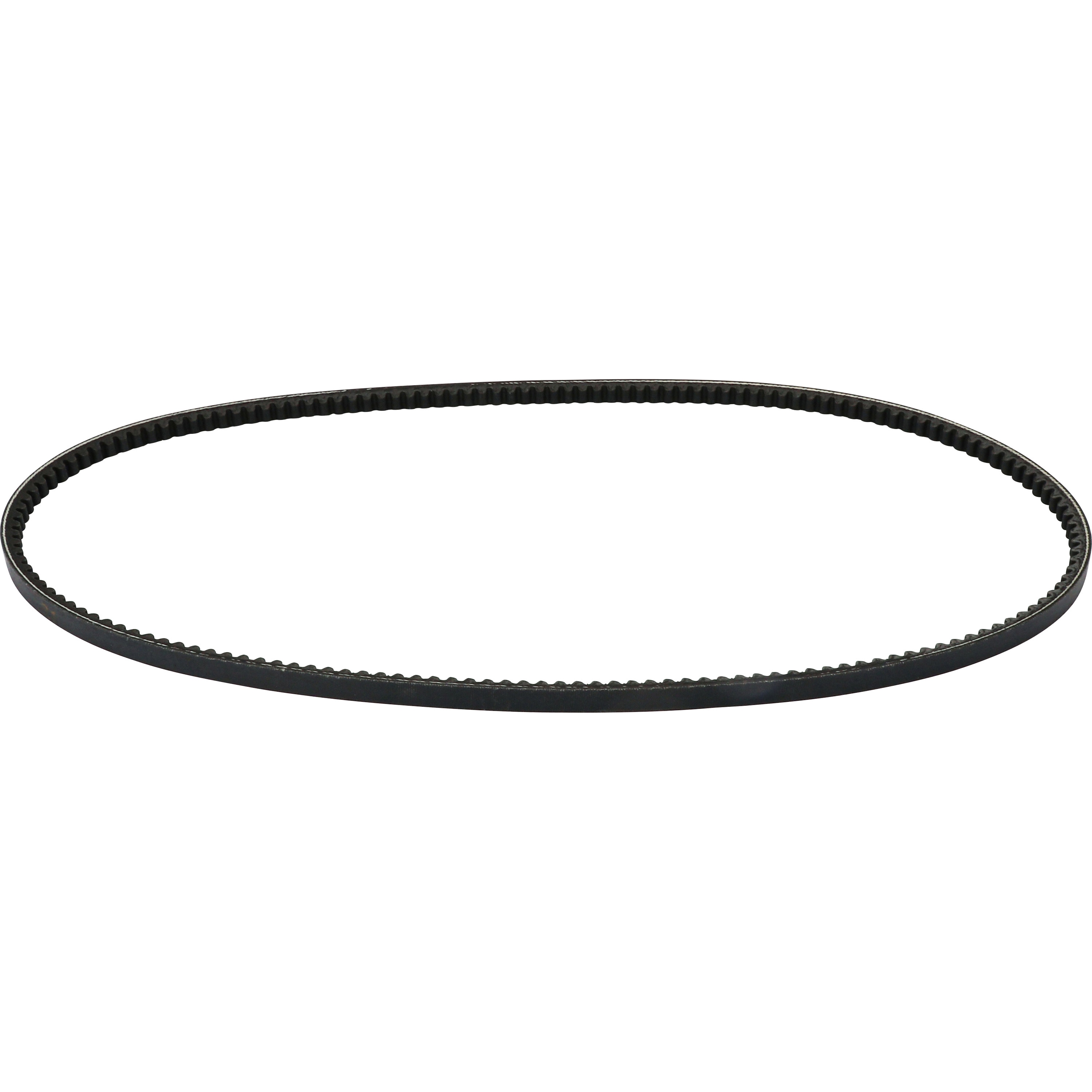 HDPF5610 大型コグベルト HDPF5～ 1本 バンドー化学 【通販モノタロウ】