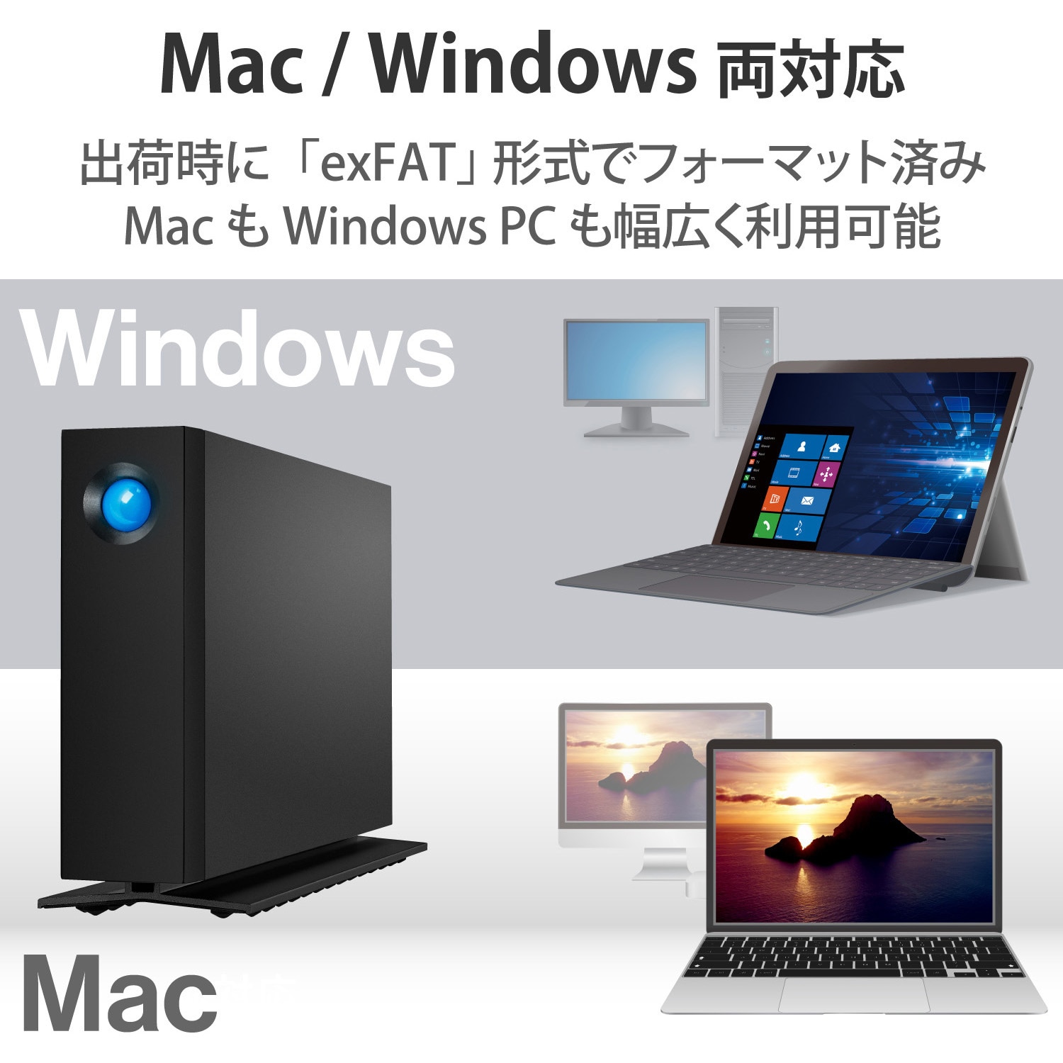 STHA14000800 HDD (ハードディスク) 外付け 据置 LaCie d2 Professional タイプCポート アルミ製ケース  5年保証 【Windows Mac】対応 1個 LaCie(ラシー) 【通販モノタロウ】