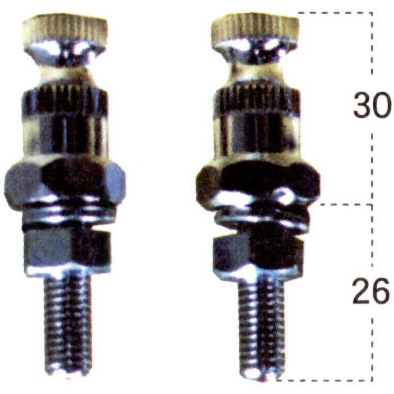期間限定値下げ　ビンテージ スワスティカコンチョ スワスティカ コンチョ /Swastika concho | progressive art