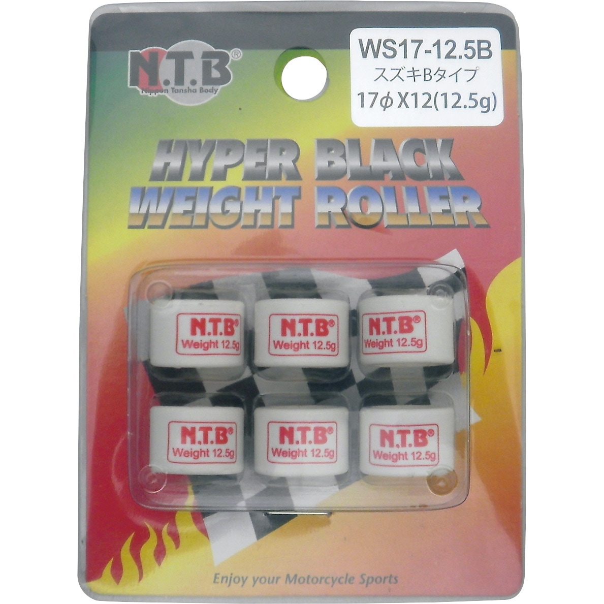 NTB ウエイトローラー スズキ スカイウェイブ CJ41A 24φ×18（35g） 入