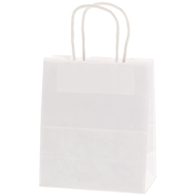 白無地 手提げ紙袋 HEIKO 白無地色 幅210mmマチ120mm高さ250mm 1箱(50枚×6パック) 6,713円