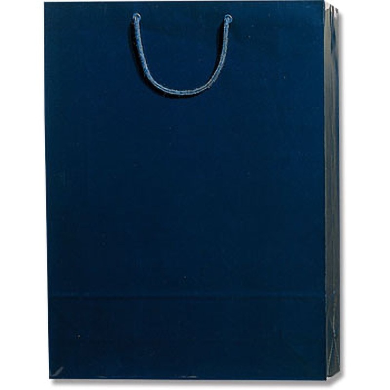 シコン 手提げ紙袋(PPフィルム貼り) HEIKO シコン色 幅380mmマチ120mm高さ520mm 1箱(10枚×10パック)