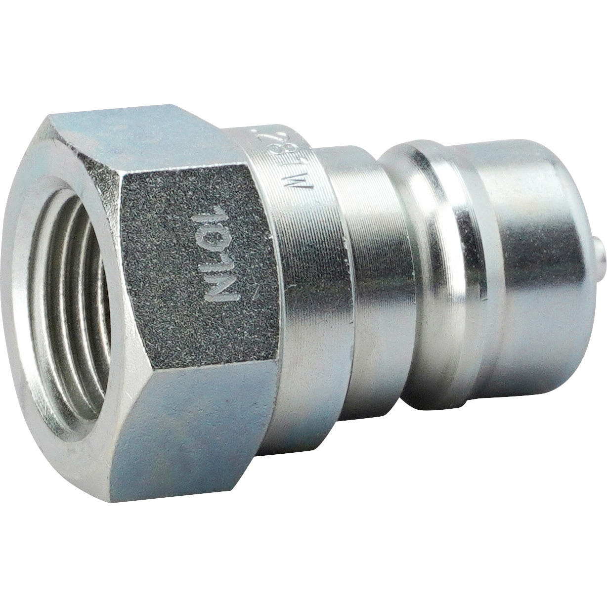 【漂着物】馬の骨 下顎 馬歯付き 漂着物】馬の骨 下顎 馬歯付き