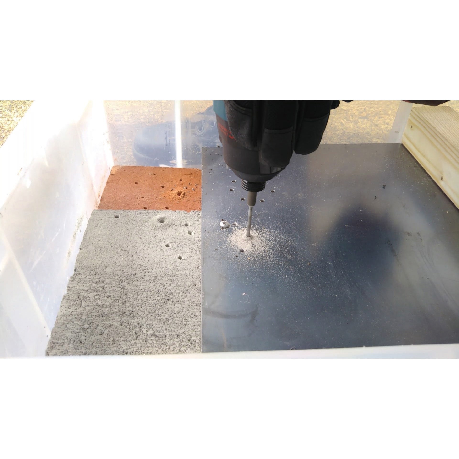 【確認用】ビットさま専用ページです ペットプラス 白山店 | ミニチュア・ダックスフンドの詳細情報 | 子犬