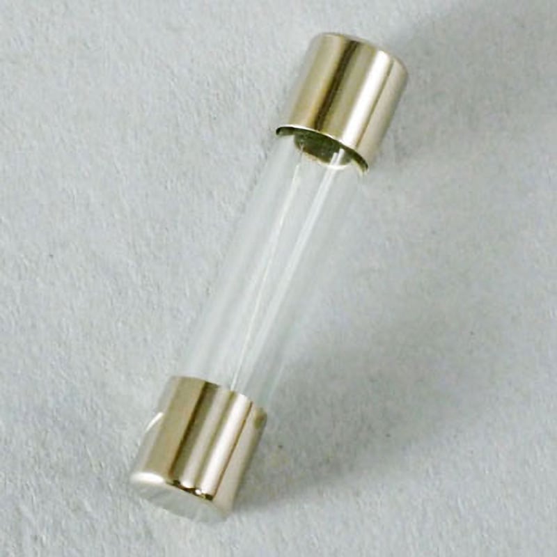 冨士端子工業 ガラス管ヒューズ 125V0.2A （Φ6.4×30mm） FGBO125V0.2A