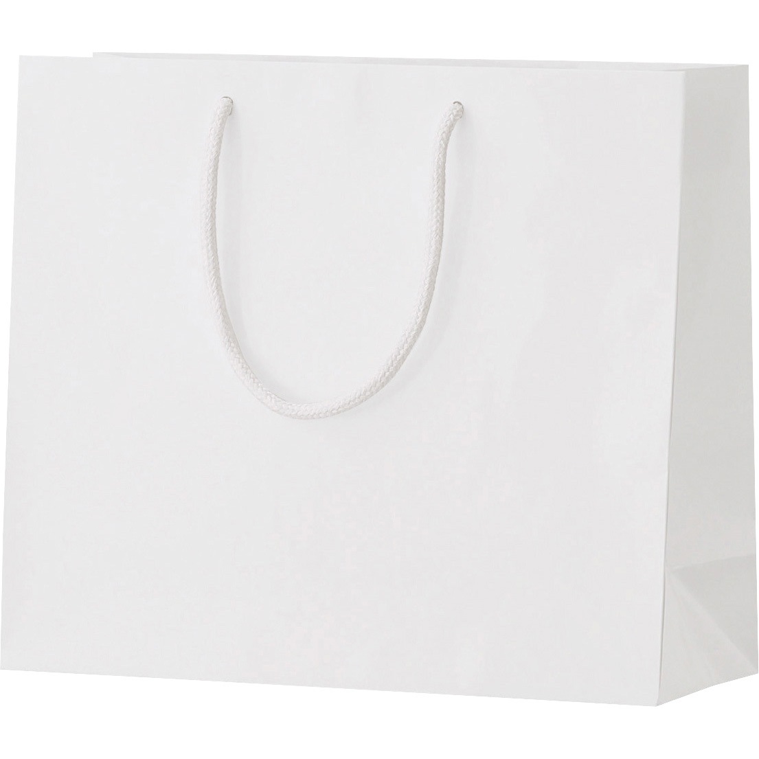 90100301 シャイニーバッグ 丸玉工業 ホワイト色 容量9L  1セット(50枚)