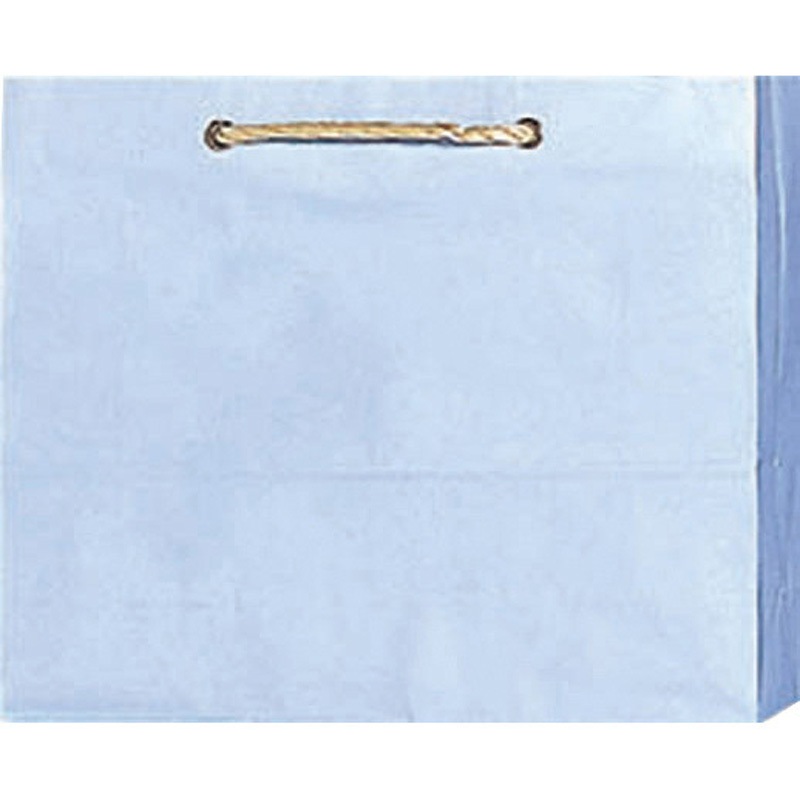 90009202 キャリーバッグ 丸玉工業 青色  1セット(50枚) 10,786円