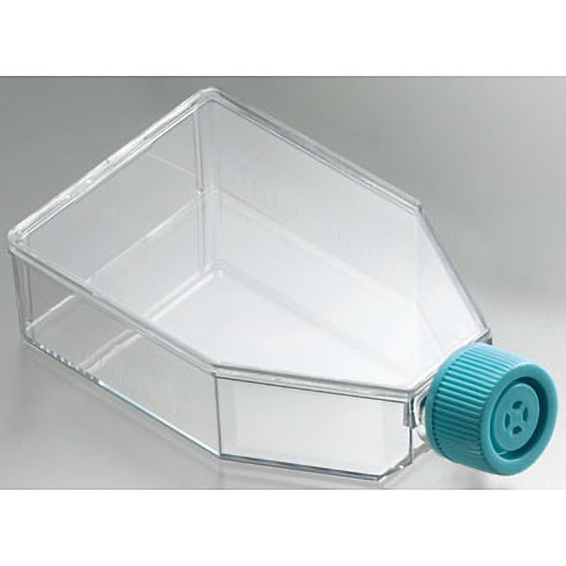 RUN IS…様 ポケモンカード ブロロローム 進化セット 1枚の通販 スナギモ