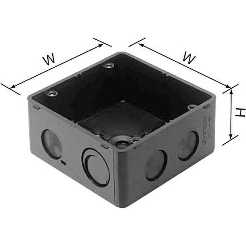 セッコクの大株です 縦横30cmくらいです 1週間くらいで発送出来ます