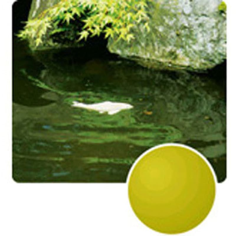 SF-28B 冒険王【アスリート&ミドルクラス】 サイトフォーカス 1個 視泉堂 【通販モノタロウ】 6,057円