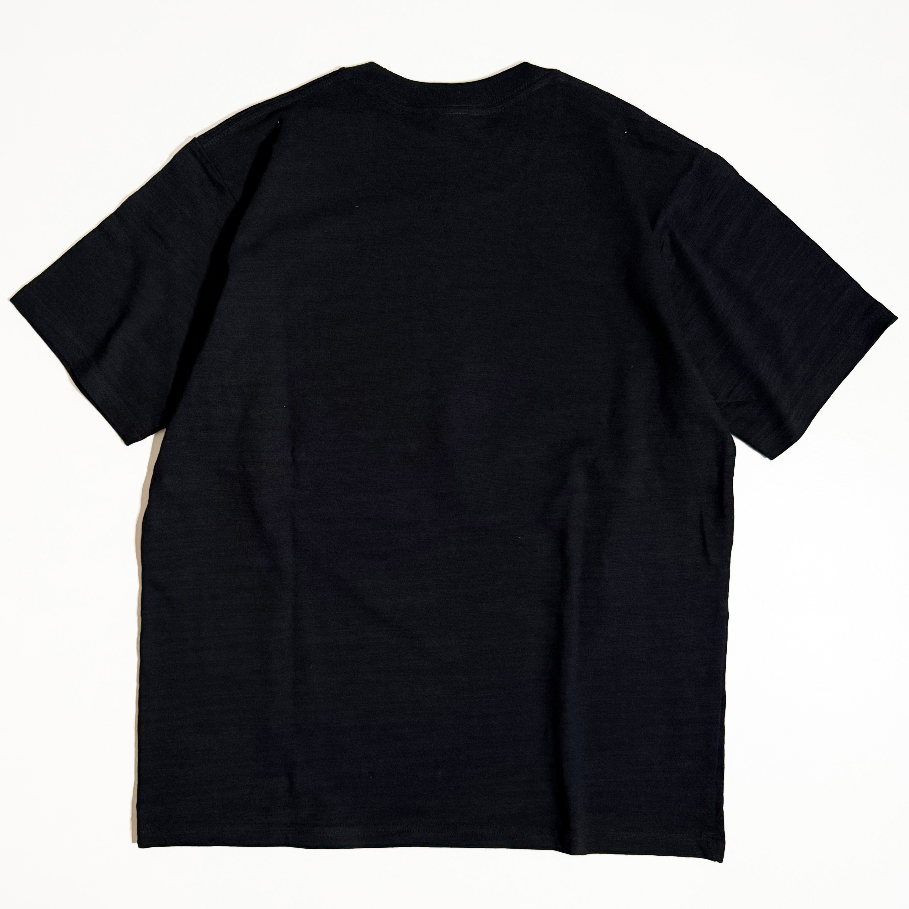B-T002-16 通油町Tシャツ 赤富士 黒 LIFEMAX サイズL B-T002-16 【通販