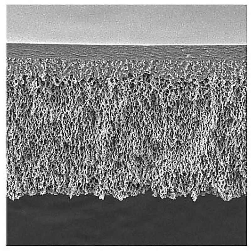 PLBC04710 UF Discs PLBC Ultracel RC 3kDa 47mm 10/Pk 10PK Merck(メルクミリポア) ウルトラセル 限外ろ過ディスク