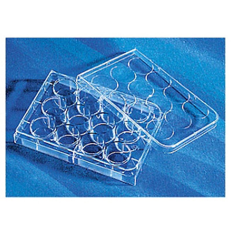 3336 CellBIND (R) ウェルプレートフタ付 コーニング 種別CellBIND R 12  1ケース(10パック×5個)