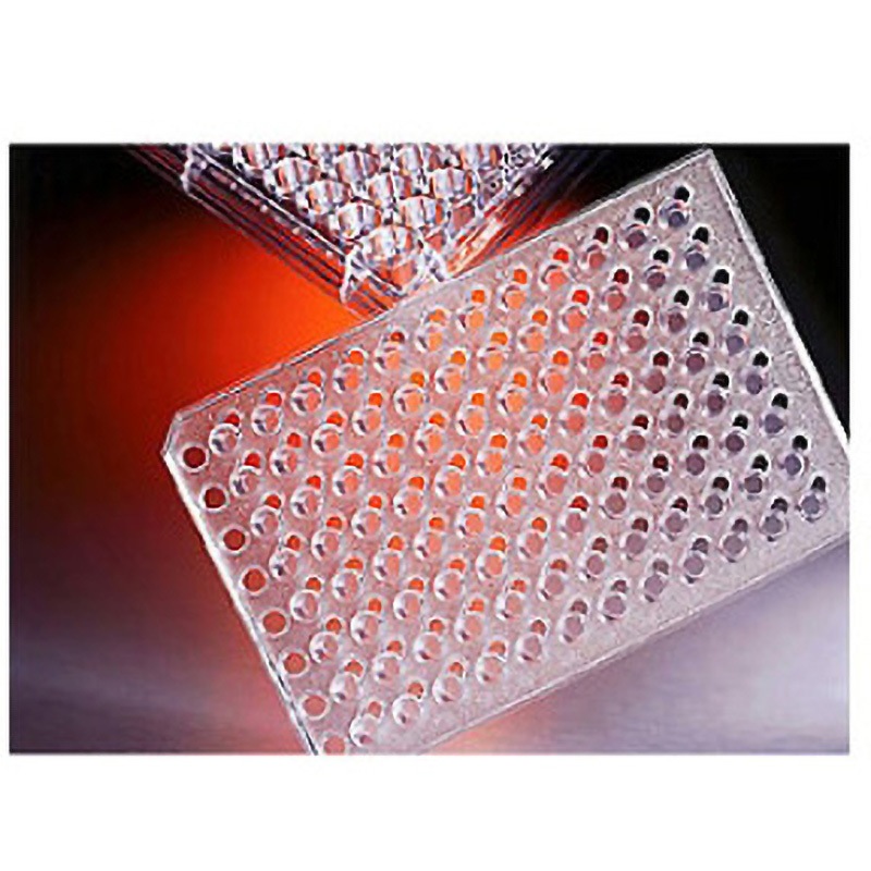 3388 トランズウェルインサート一体型 1ケース(2パック×1個) コーニング 【通販モノタロウ】