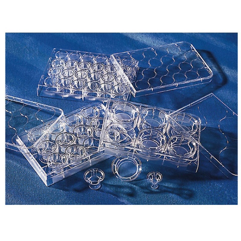 3452 トランズウェルクリアー 細胞培養表面処理済み 1ケース(4パック×6個) コーニング 【通販モノタロウ】